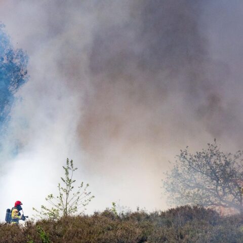 Natuurbrand nabij Weert leidt tot evacuatie van Kempen Airport; onderdeel van landelijke stijging in branden