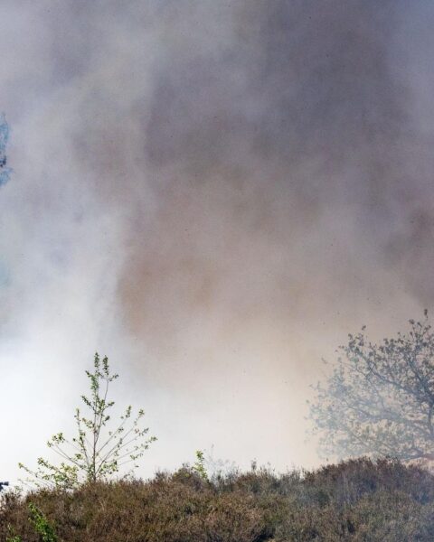 Natuurbrand nabij Weert leidt tot evacuatie van Kempen Airport; onderdeel van landelijke stijging in branden