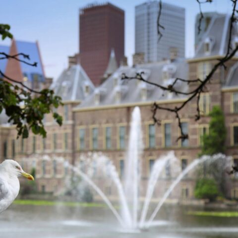 Nederland sluit overeenkomst met Europese cloudprovider om afhankelijkheid van Amerikaanse technologie te verminderen