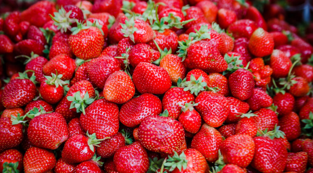 Nederlandse aardbeienconsumptie bereikt recordhoogte van 2,8 kilogram per persoon in 2025