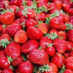 Nederlandse aardbeienconsumptie bereikt recordhoogte van 2,8 kilogram per persoon in 2025