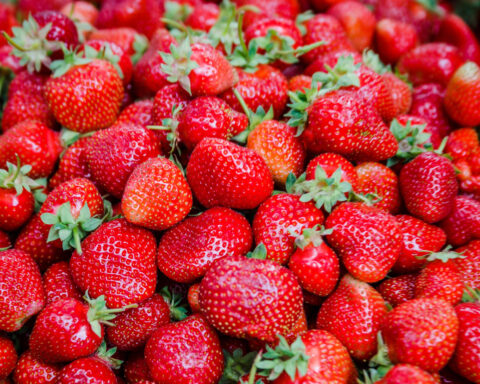 Nederlandse aardbeienconsumptie bereikt recordhoogte van 2,8 kilogram per persoon in 2025