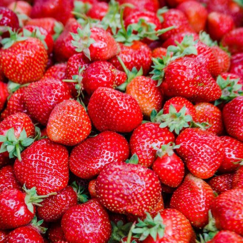 Nederlandse aardbeienconsumptie bereikt recordhoogte van 2,8 kilogram per persoon in 2025