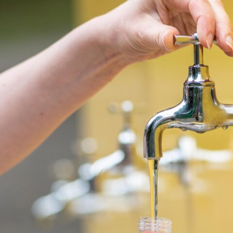 Nederlandse toezichthouder overweegt verbod op 46 PFAS-pesticiden door dreiging voor drinkwater