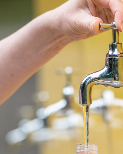 Nederlandse toezichthouder overweegt verbod op 46 PFAS-pesticiden door dreiging voor drinkwater