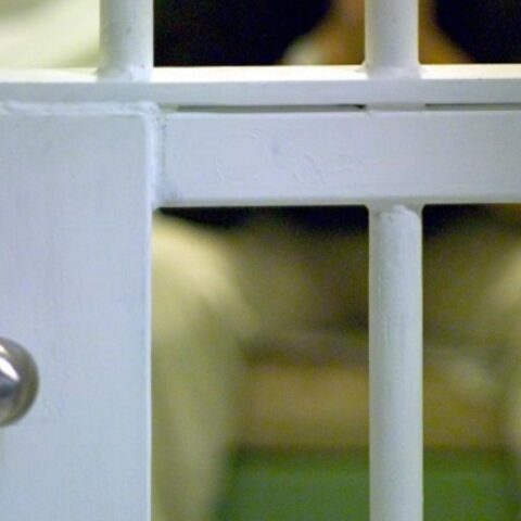 Negen Nederlanders aangehouden voor tien geldautomaatexplosies in Duitsland en Zwitserland