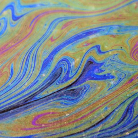 Olielek in Antwerpen breidt zich uit naar natuurreservaten in Zeeland; opruiming kan weken duren