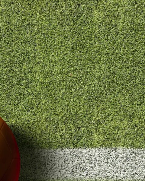 Oranje Leeuwinnen spelen gelijk tegen Frankrijk en behouden controle over WK-kwalificatie