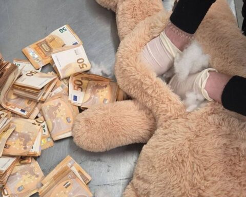 Politie ontdekt 50.000 euro aan contant geld in teddybeer in Beek