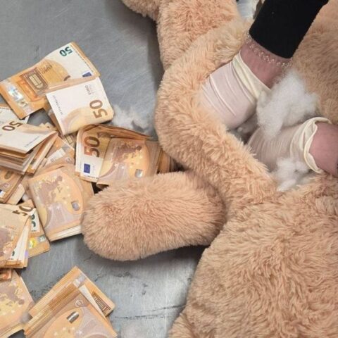 Politie ontdekt 50.000 euro aan contant geld in teddybeer in Beek
