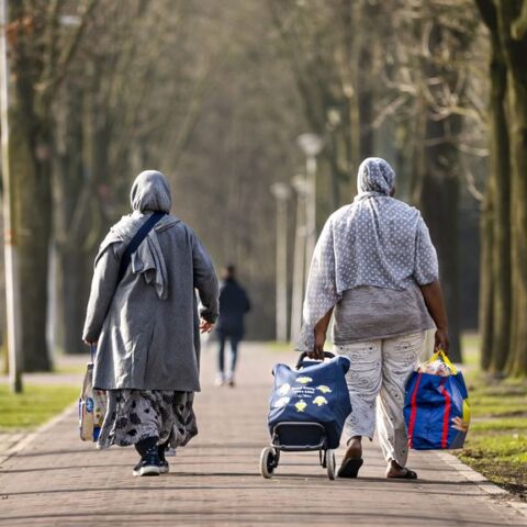 Politiek Den Haag werkt aan aanpak voor migratieproblemen