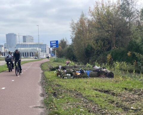 Psychiatrische evaluatie verlengd voor verdachte in moord op Lisa; proces start in januari