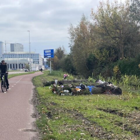 Psychiatrische evaluatie verlengd voor verdachte in moord op Lisa; proces start in januari