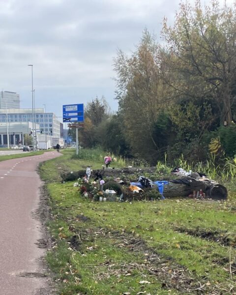 Psychiatrische evaluatie verlengd voor verdachte in moord op Lisa; proces start in januari