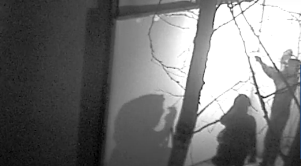 Rechtbank in Assen behandelt die rechtszaak tegen drie verdachten van diefstal van Roemeense schatten uit Drents Museum