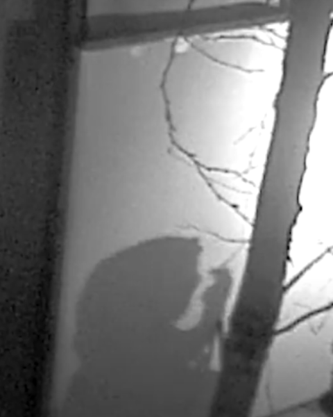 Rechtbank in Assen behandelt die rechtszaak tegen drie verdachten van diefstal van Roemeense schatten uit Drents Museum