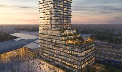 Rotterdam krijgt toestemming voor bouw van 300 woningen in Tree House van 37 verdiepingen