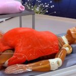 Scholieren in Enschede ontwikkelen dikkere proefpop voor CT-scans in ziekenhuis