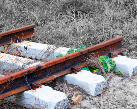Senioren in Nederland lopen tegen financiële obstakels aan bij woningaanpassing en -verhuizing