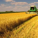 Slechts 4,8% van de landbouwgrond in Nederland was biologisch in 2025