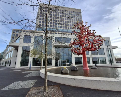 Taakstraf van zestig uur voor amateurvoetballer na zware overtreding in Den Bosch