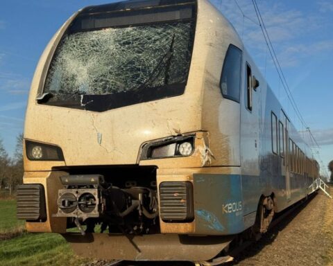 Trein botst op omgevallen boom bij Raalte, geen gewonden maar aanzienlijke schade
