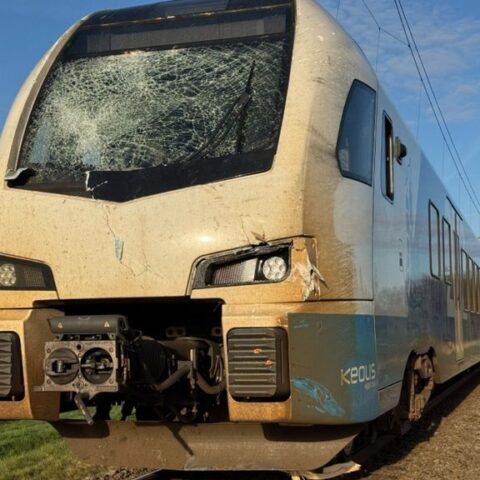 Trein botst op omgevallen boom bij Raalte, geen gewonden maar aanzienlijke schade