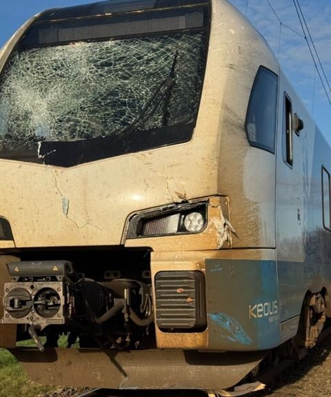 Trein botst op omgevallen boom bij Raalte, geen gewonden maar aanzienlijke schade