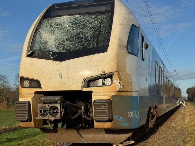 Trein botst op omgevallen boom bij Raalte, geen gewonden maar aanzienlijke schade