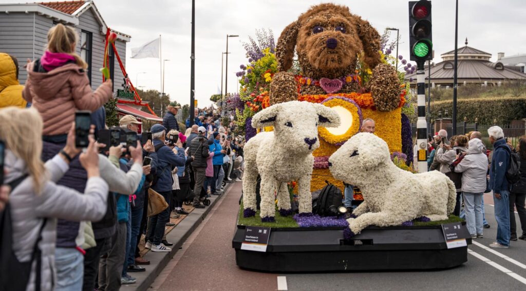 Video: Bollenstreek bloemencorso trekt meer dan 1 miljoen bezoekers te midden van pesticidedebat