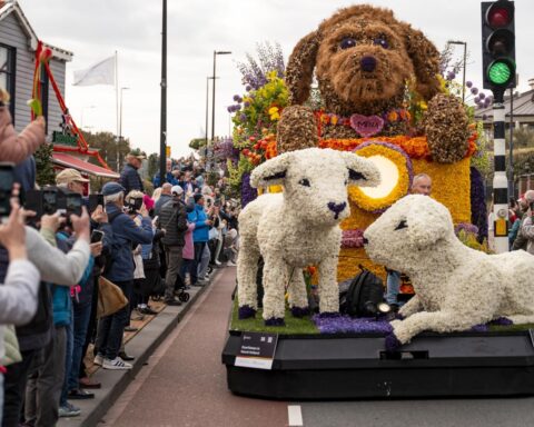 Video: Bollenstreek bloemencorso trekt meer dan 1 miljoen bezoekers te midden van pesticidedebat