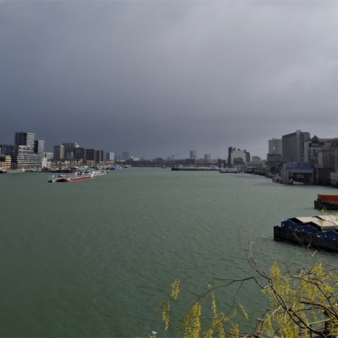 Wim Beelen trekt zich terug uit bod op pretpark Rivoli in Rotterdam