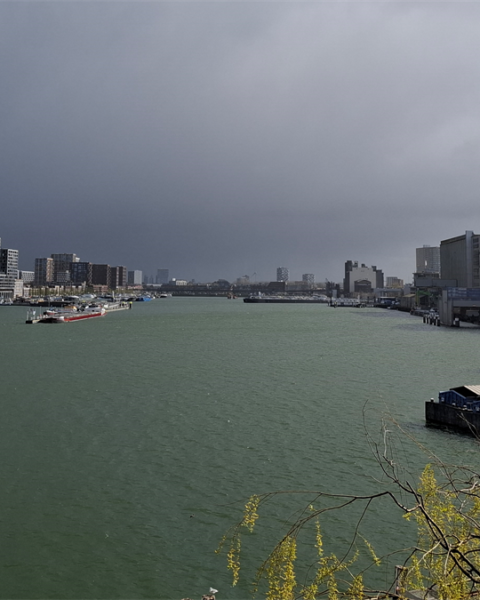 Wim Beelen trekt zich terug uit bod op pretpark Rivoli in Rotterdam