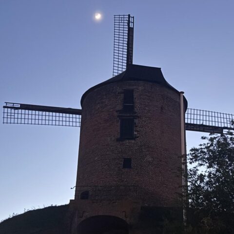 Zonnig weekend maakt plaats voor kouder Koningsdag met lichte kans op een bui in het noorden