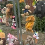 Minister bespreekt verbeteringen zorg voor mishandelde kinderen in Stadskanaal