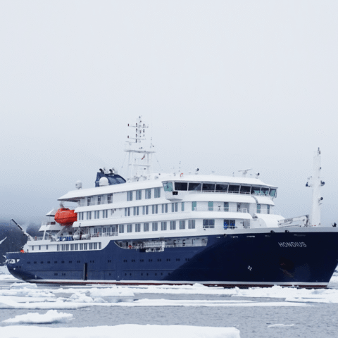 Nederland overweegt medische evacuatie van besmette personen van het cruiseschip Hondius