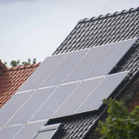 Raad van State: verlies van uitzicht en zonuren vormt geen belemmering voor nieuwbouw in Schagen