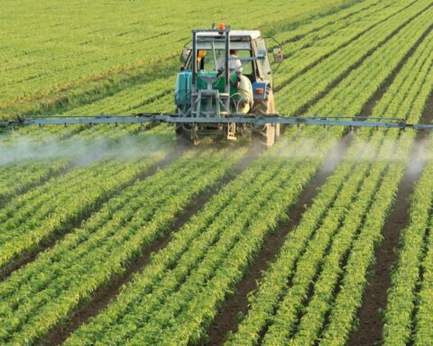 Regels voor pesticidebuffer belemmeren de bouw van tienduizenden woningen in Nederland