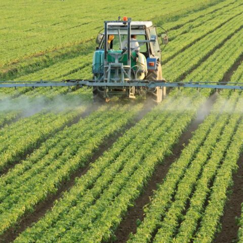 Regels voor pesticidebuffer belemmeren de bouw van tienduizenden woningen in Nederland