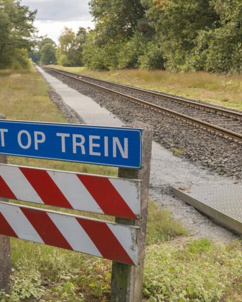 Treinmachinist op ziekteverlof, betrapt tijdens tweede baan, verliest rechtszaak om €100K ontslagvergoeding