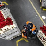 Tweede Kamer stemt voor versterking van rechten tijdelijke werknemers