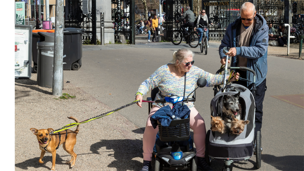 Buurtapp en honden dragen bij aan sociale cohesie in Nederlandse wijken