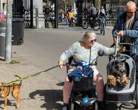 Buurtapp en honden dragen bij aan sociale cohesie in Nederlandse wijken