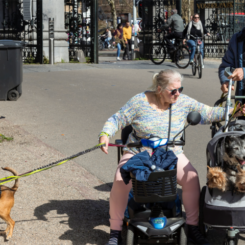 Buurtapp en honden dragen bij aan sociale cohesie in Nederlandse wijken