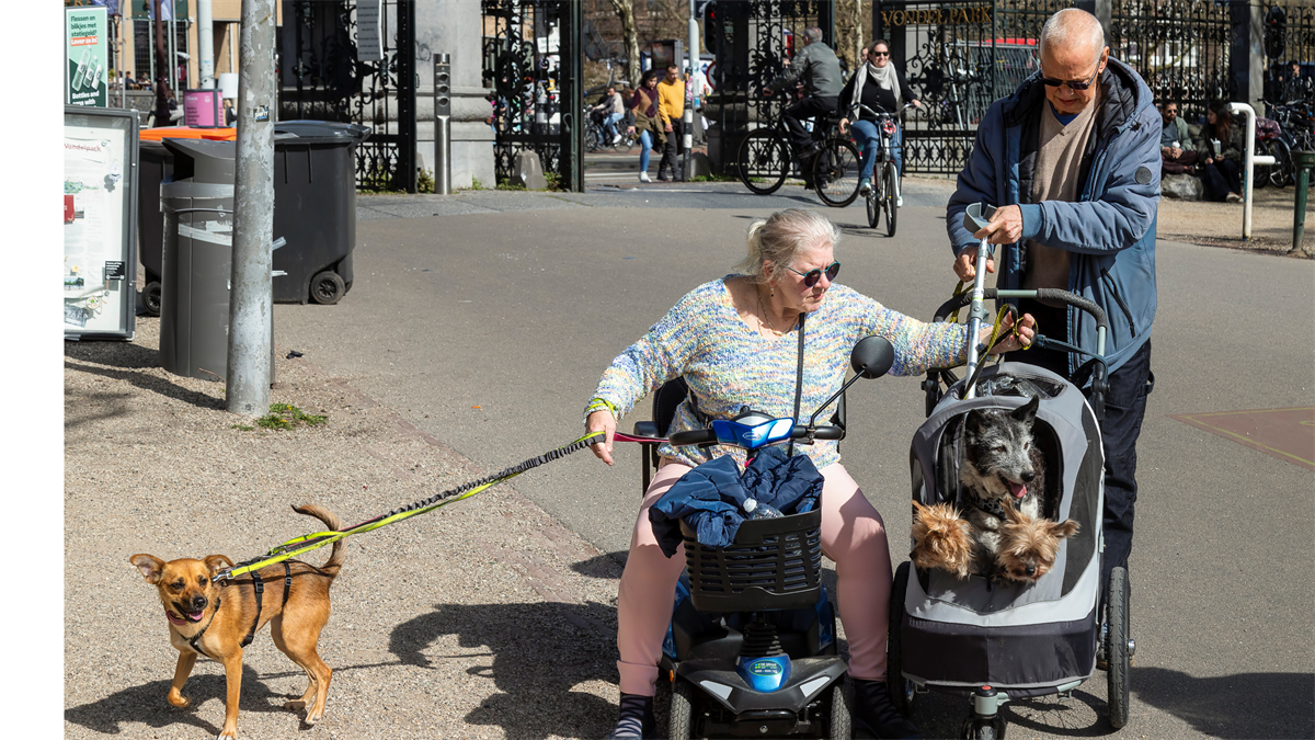 Buurtapp en honden dragen bij aan sociale cohesie in Nederlandse wijken