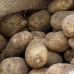 Daling van bijna 40% in aardappelprijzen verlaagd inkomen van Nederlandse boeren met meer dan 10%