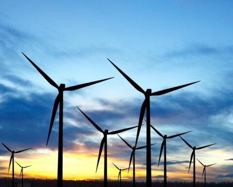 Delen van hernieuwbare energie in Nederland stijgt naar 22,7%, aldus CBS