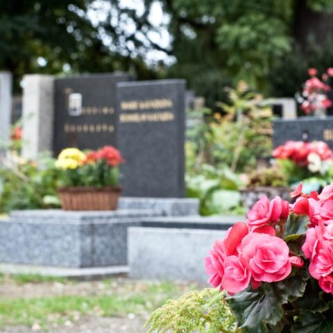 Dordrecht wil graven herstellen na geheime verhuizing van 21 lichamen in begraafplaatsencontroverse