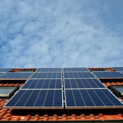Energiebedrijf betaalt duizenden huishouden om zonnepaneelproductie te verminderen tijdens zomerse hitte