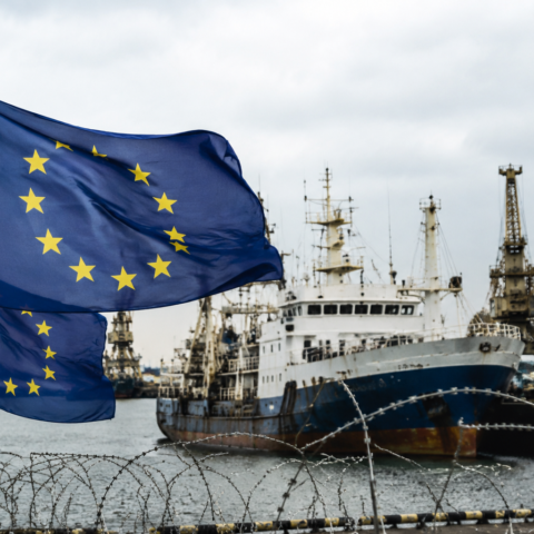 EU stelt 21e sanctiepakket tegen Rusland voor, visserij voor het eerst getroffen